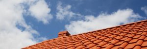 Roof Cleaning & Maintenance