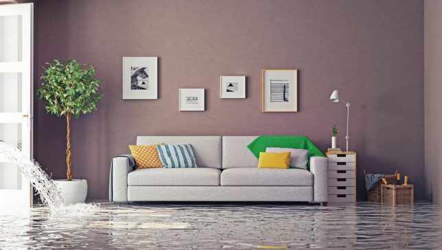 How to Minimize Water Damage Repairs