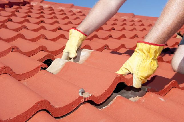 What To Do When You Have A Roof Leak