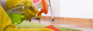 carpet and rug cleaning tips