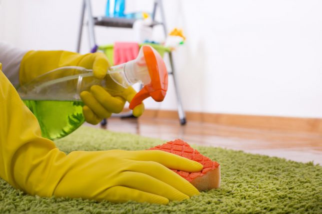 Tips For Carpet And Rug Cleaning