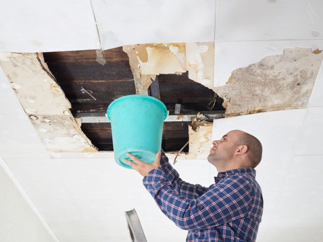 Water Damage Repair Tips & Facts Infographic
