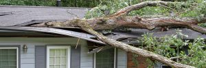 Home Restoration Storm Damage